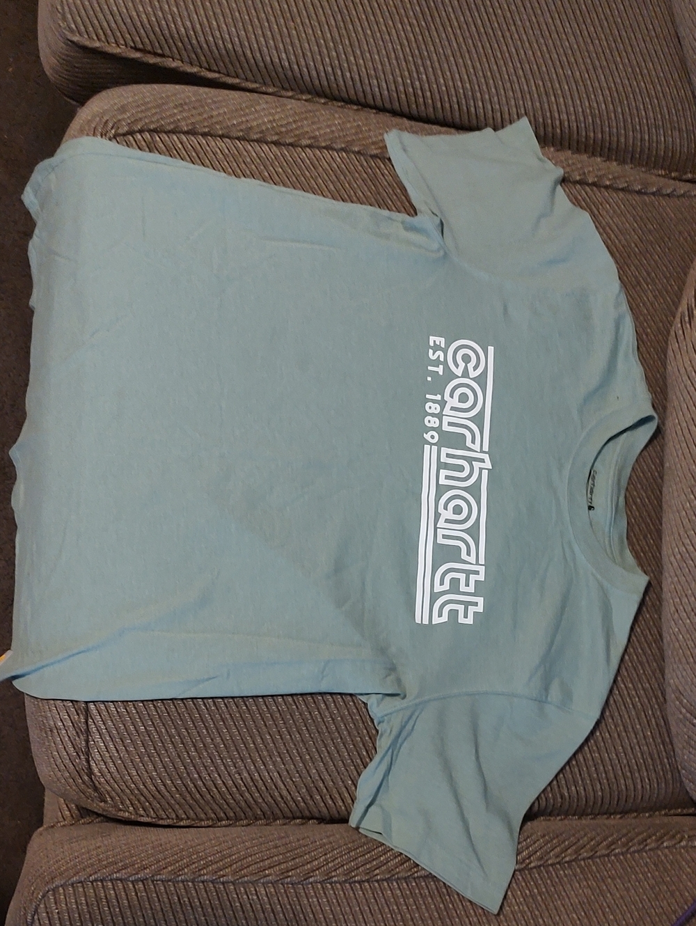 Carhartt Kids Short Sleeve Logo Tee in Seafoam